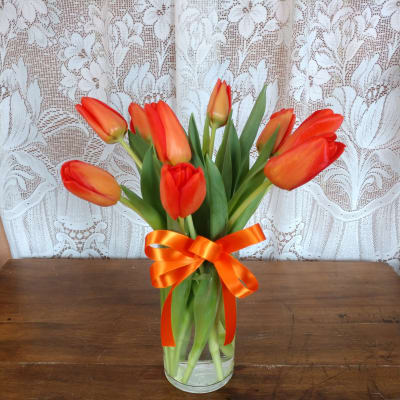 Bold Orange Tulips