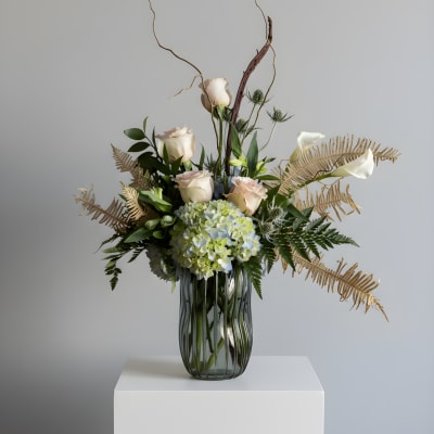 High Definition Love