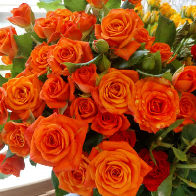 Bouquet of orange roses with green foliage