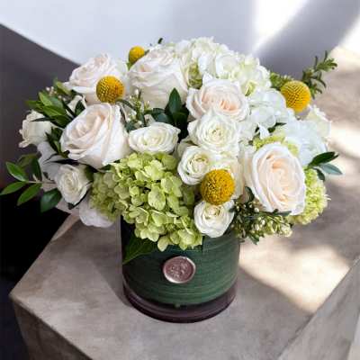 White roses and hydrangeas in a green round box with yellow accents