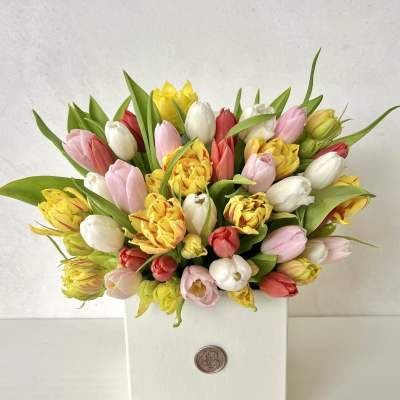 Mixed tulip bouquet in a white box