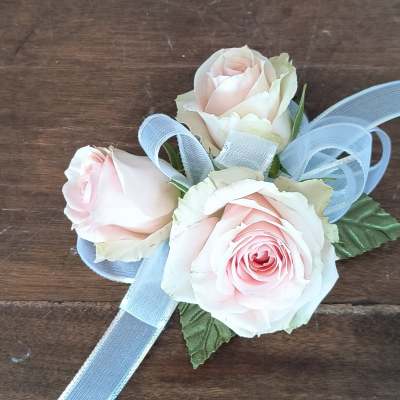 Three pale pink roses with a blue ribbon bow