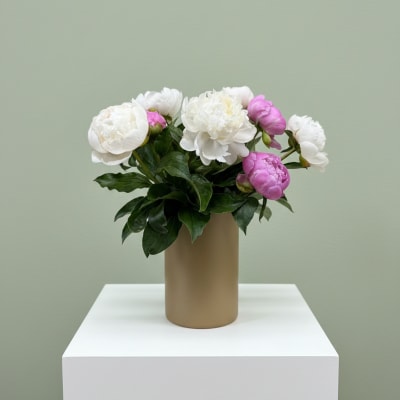 Perfect Peonies
