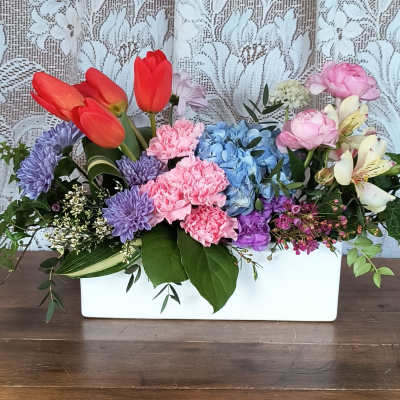 Spring Forth