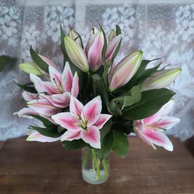Lovely Lilies