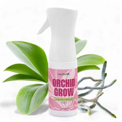 Orchid care spray bottle with orchid leaves and roots