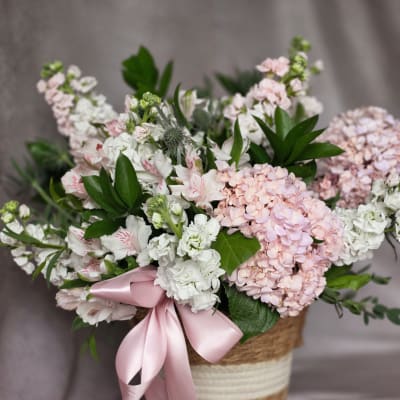 Blush Whispers