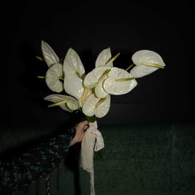Soho