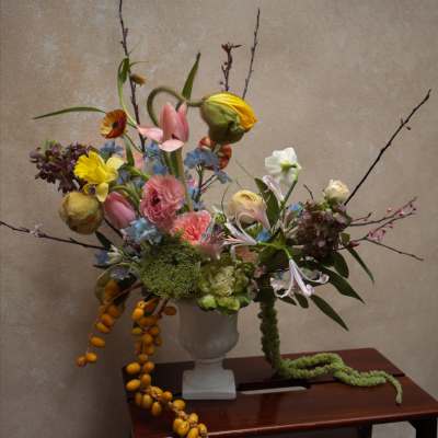 Petals of the city