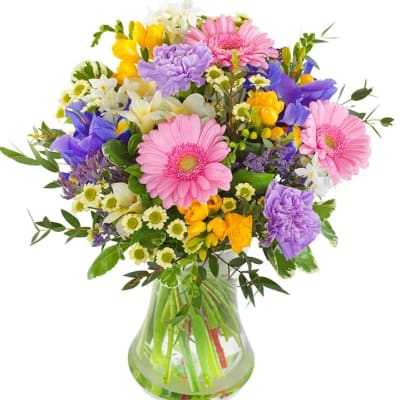 Spring Beauty