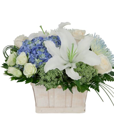 Comfort Basket