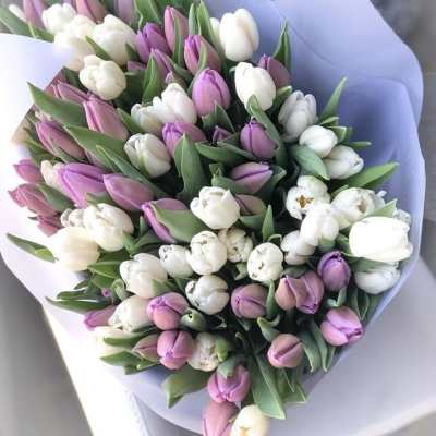 Bouquet of white and lavender tulips wrapped in pale paper