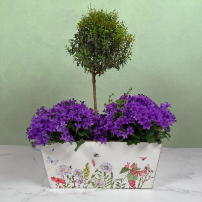 Graceful Grove Planter