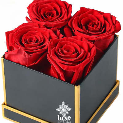 Rosas Eternas x 4