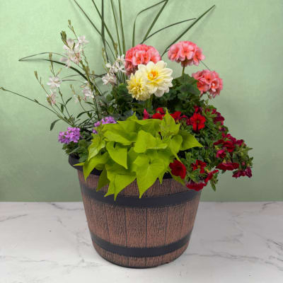 Outdoor Blooming Garden - Large