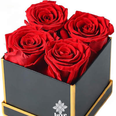 Eternal Roses x 4