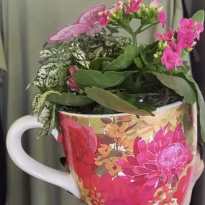 Spring Dish Gardens