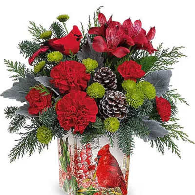 Teleflora's Send A Hug® North Pole Penguin