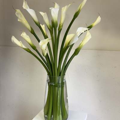 White calla lilies in a clear glass vase