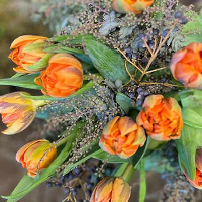 Tulips