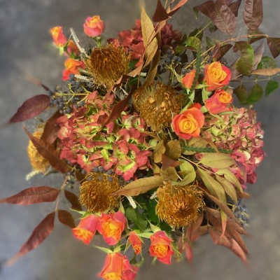 Protea