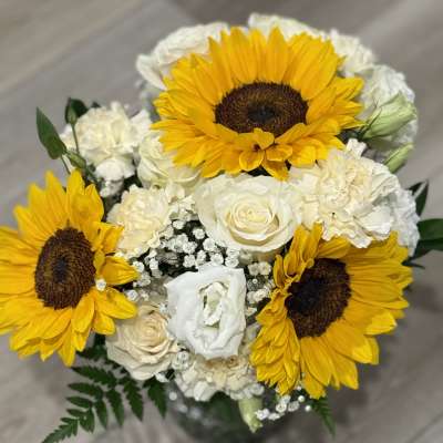 Mellow Yellow