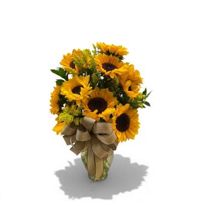 Sunflower Frenzy