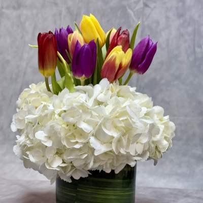 White hydrangeas in a glass vase topped with multicolored tulips
