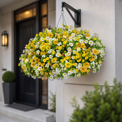 10" Crushed Pineapple Hanging basket