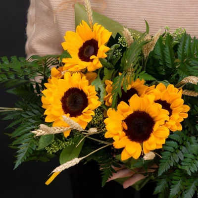 Sunflower Bliss