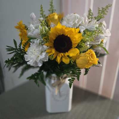 Sunshine blooms