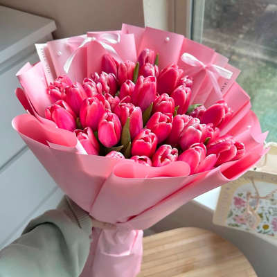 Beautiful tulips