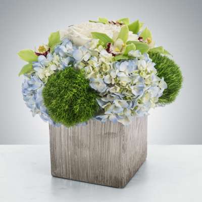 Sterling by BloomNation™