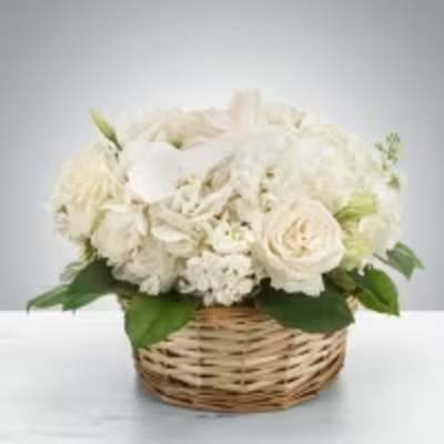 Lace by BloomNation™
