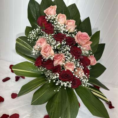 24 rosas
