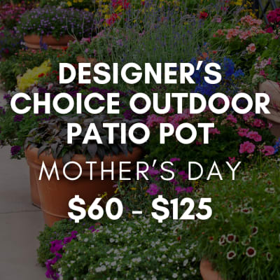 Designer’s Choice Outdoor Patio Pot