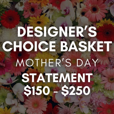Designer’s Choice Statement Basket Arrangement