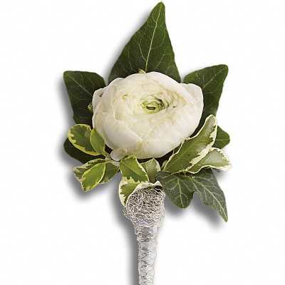 White ranunculus boutonniere with green leaves and silver-wrapped stem