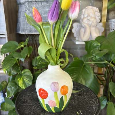 Tulip Beauty