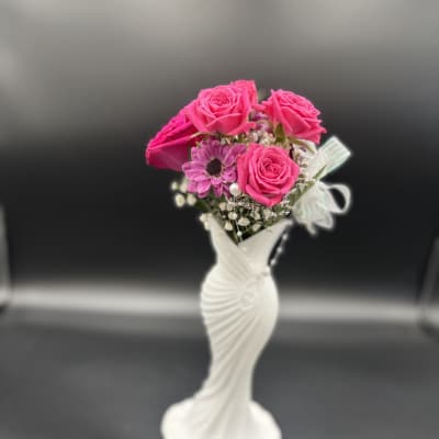 Dress Garden