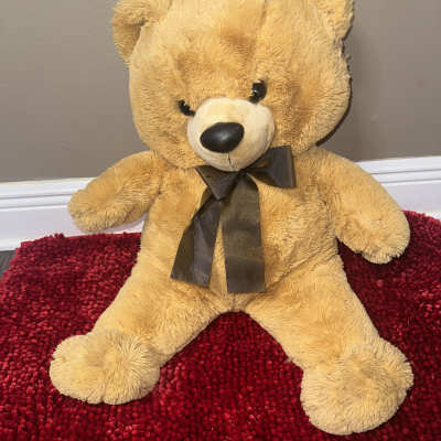 Tan teddy bear with a dark ribbon sitting on a red rug