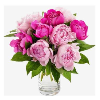 Gorgeous pink Peonies bouquet