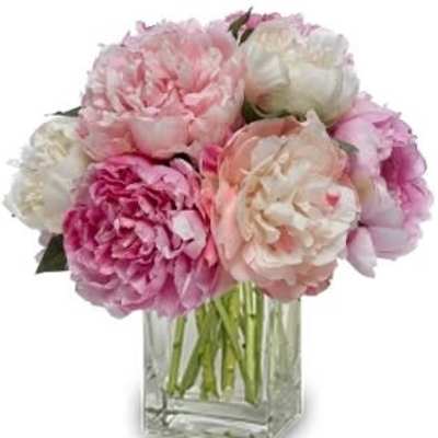 Pink and white peonies in a clear glass vase