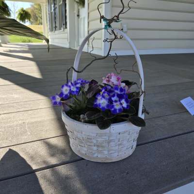 Velvet and wicker violet basket