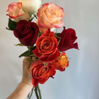 Roses