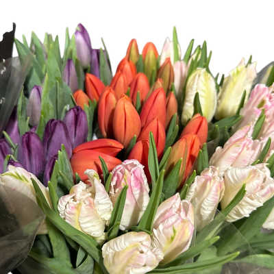 Bouquet of multicolored tulips wrapped in black paper