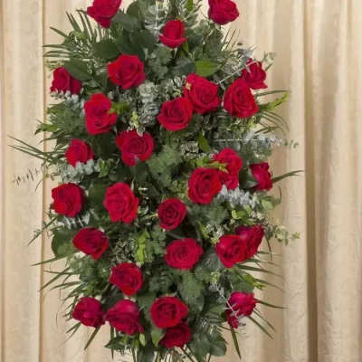 All rose tribute