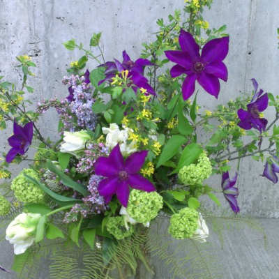 Spring Sprung