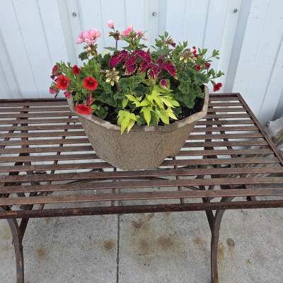 Greenhouse - Large Octagon Pulp Planter