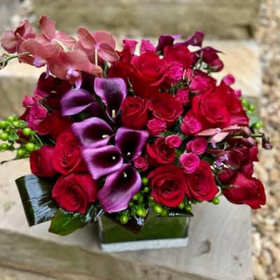 Calla & Orchids